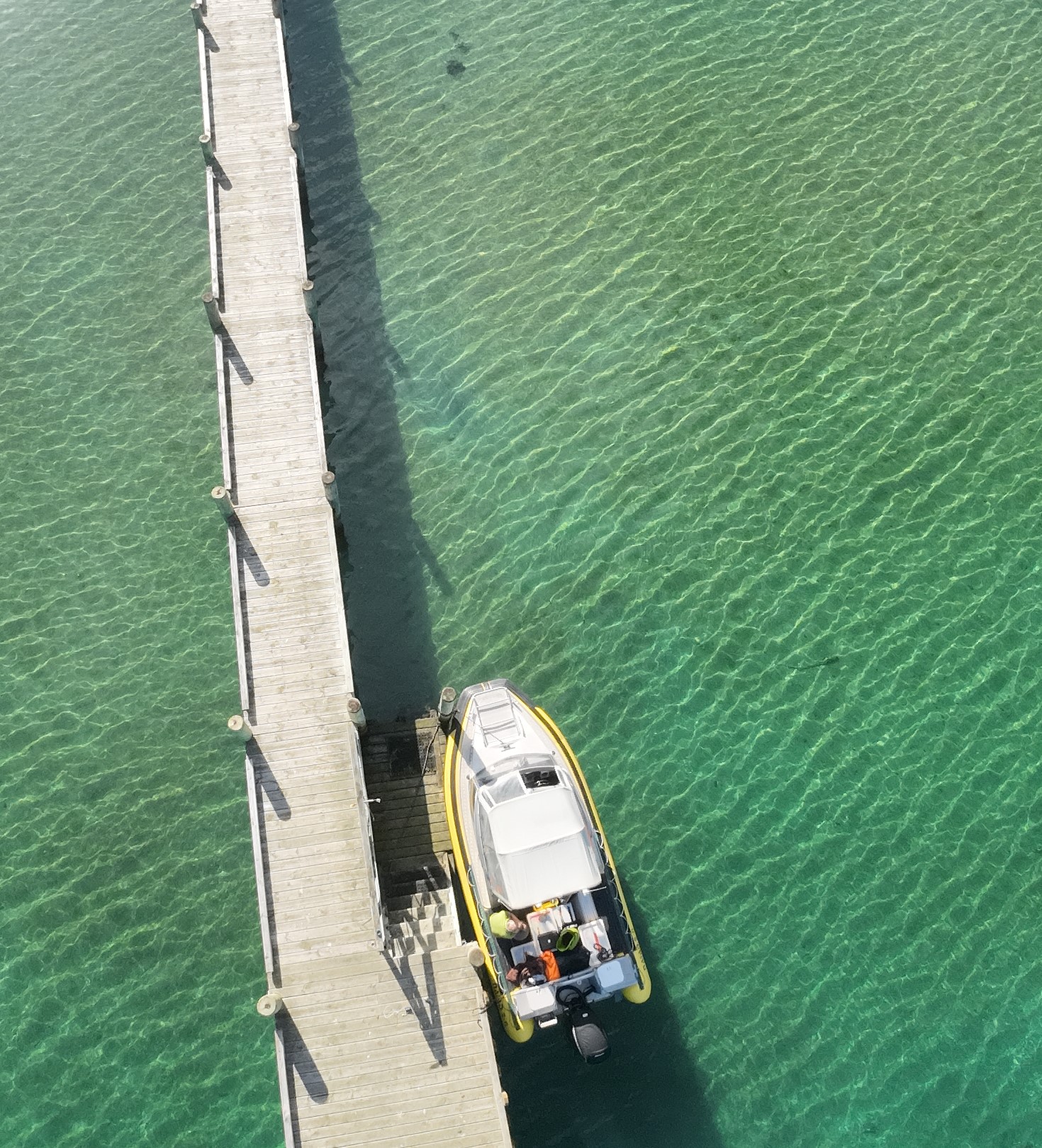 DJI T100 in operation